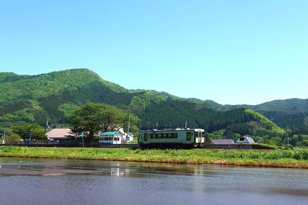 田植え